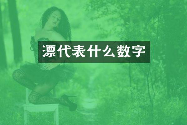 漂代表什么数字