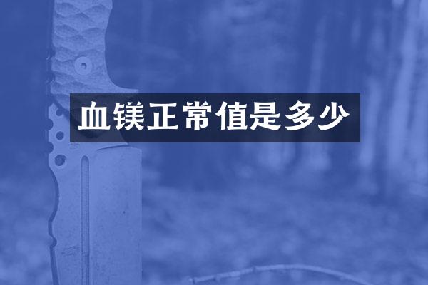 血镁正常值是多少