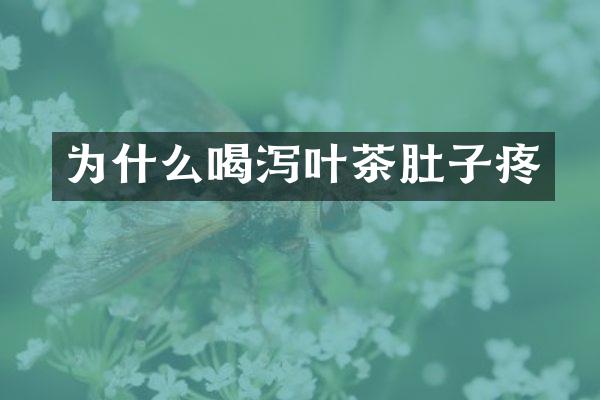 为什么喝泻叶茶肚子疼
