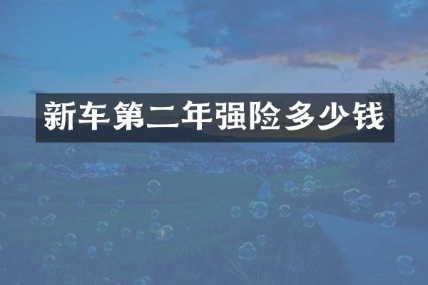 新车第二年强险多少钱