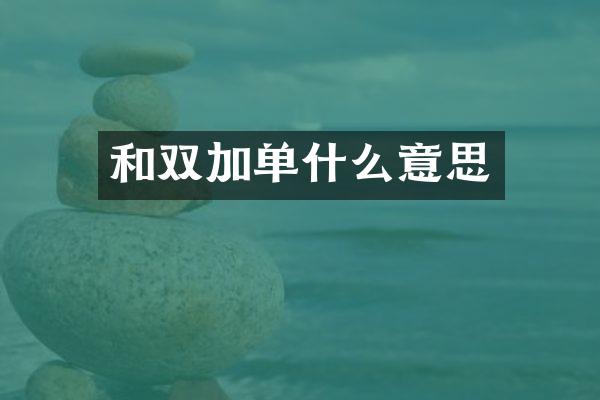 和双加单什么意思
