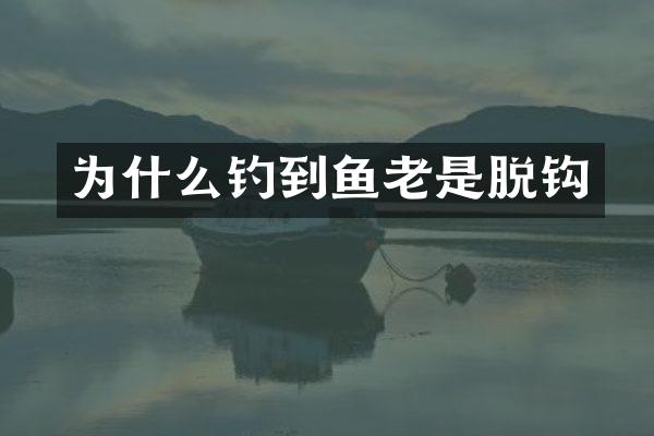 为什么钓到鱼老是脱钩