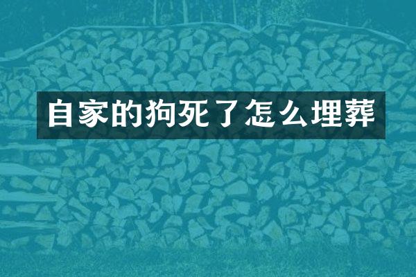 自家的狗死了怎么埋葬