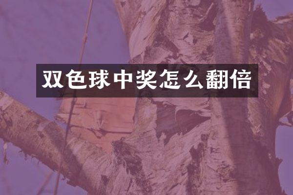 双色球中奖怎么翻倍