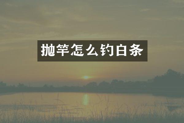 抛竿怎么钓白条