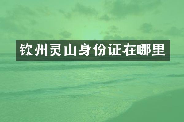 钦州灵山身份证在哪里