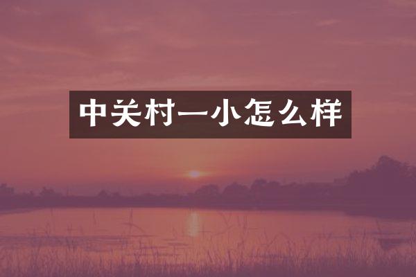 中关村一小怎么样