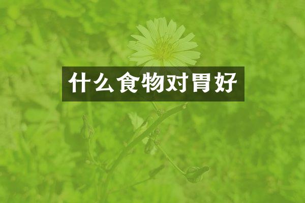 什么食物对胃好