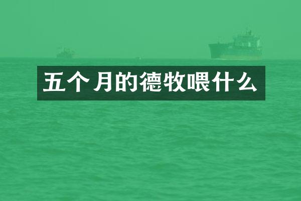五个月的德牧喂什么