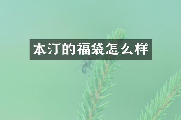 本汀的福袋怎么样