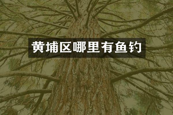 黄埔区哪里有鱼钓