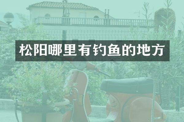 松阳哪里有钓鱼的地方