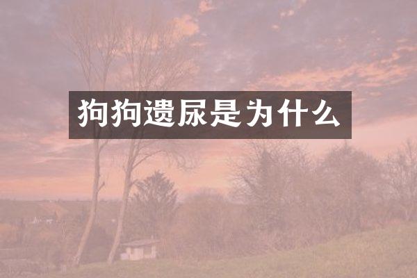 狗狗遗尿是为什么