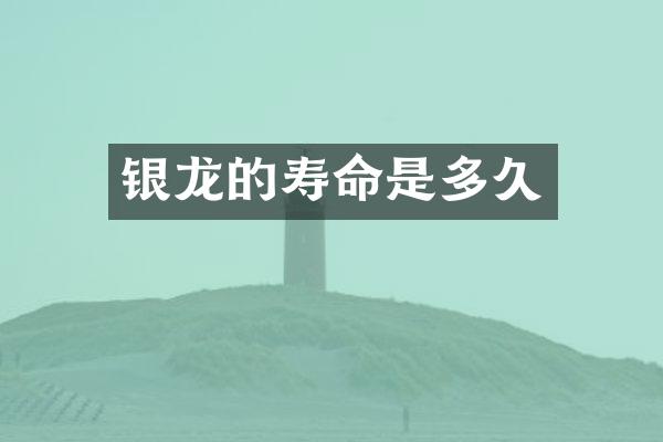 银龙的寿命是多久