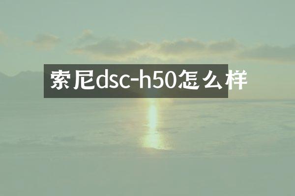 索尼dsc-h50怎么样