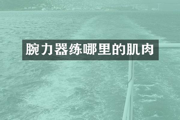腕力器练哪里的肌肉