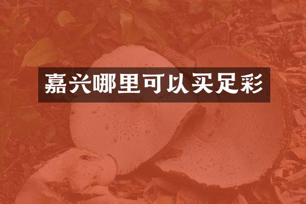 嘉兴哪里可以买