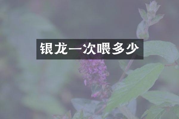 银龙一次喂多少