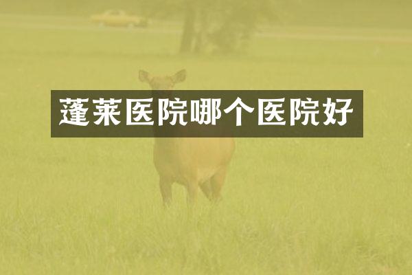 蓬莱医院哪个医院好