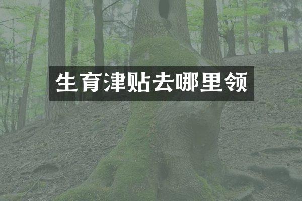 生育津贴去哪里领