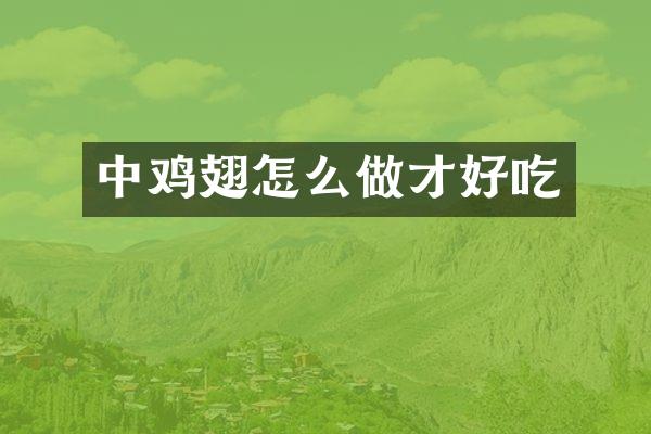 中鸡翅怎么做才好吃