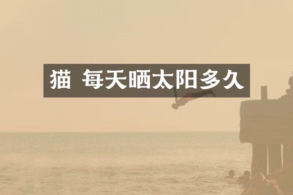 猫 每天晒太阳多久