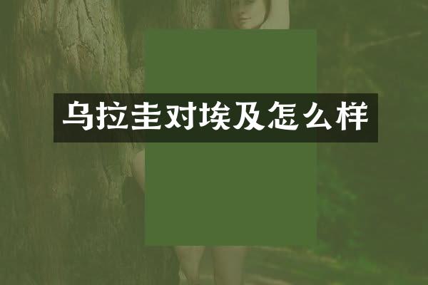 乌拉圭对埃及怎么样
