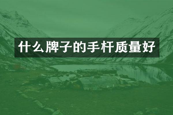 什么牌子的手杆质量好