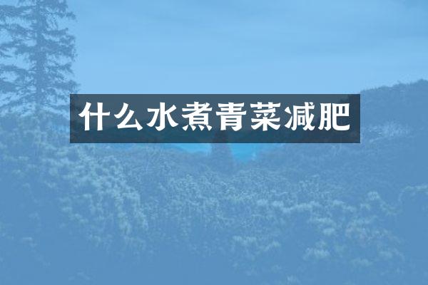 什么水煮青菜减肥