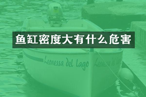 鱼缸密度大有什么危害
