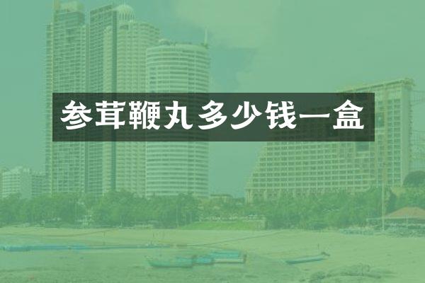 参茸鞭丸多少钱一盒