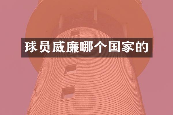 球员威廉哪个国家的