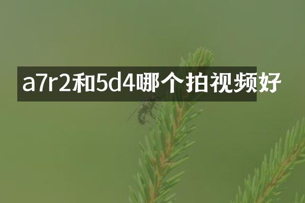 a7r2和5d4哪个拍视频好