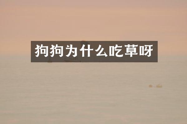 狗狗为什么吃草呀