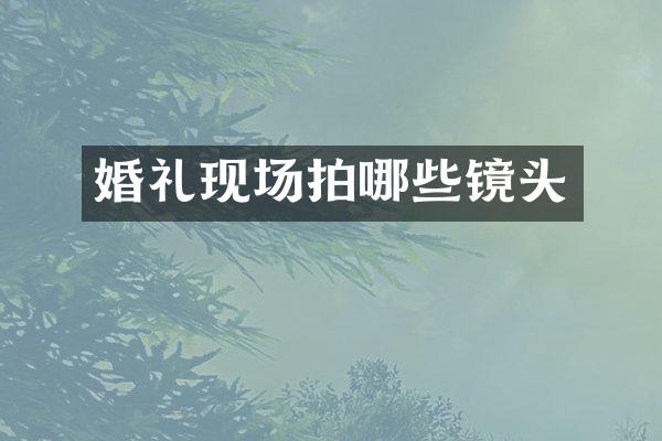 婚礼现场拍哪些镜头