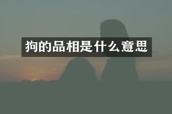 狗的品相是什么意思