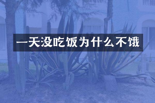 一天没吃饭为什么不饿