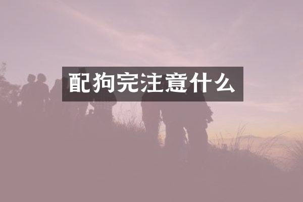 配狗完注意什么