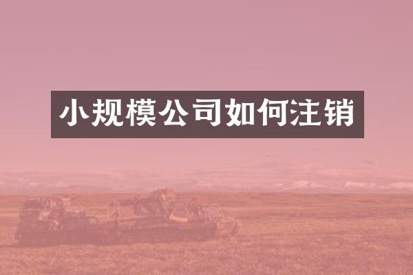 小规模公司如何注销