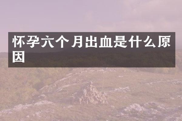 怀孕六个月出血是什么原因