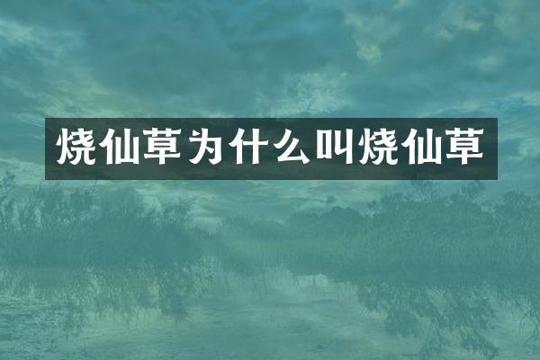 烧仙草为什么叫烧仙草