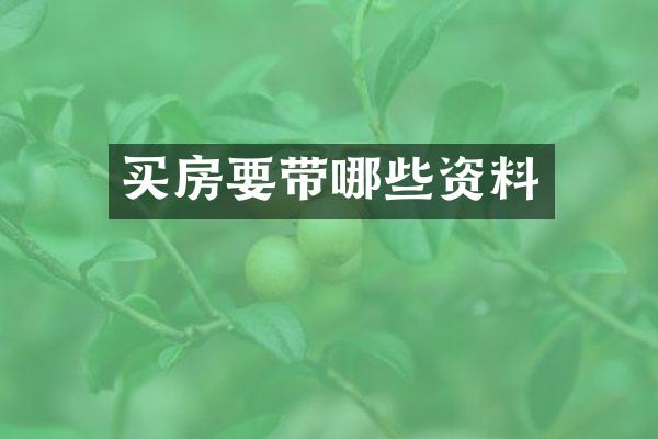 买房要带哪些资料