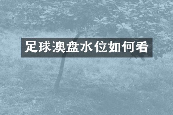 足球澳盘水位如何看