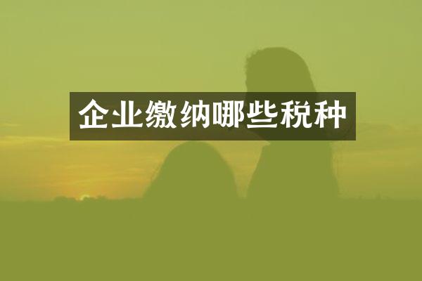 企业缴纳哪些税种