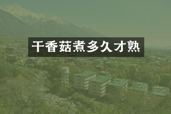 干香菇煮多久才熟