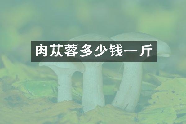 肉苁蓉多少钱一斤