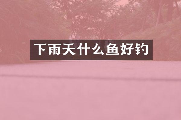 下雨天什么鱼好钓