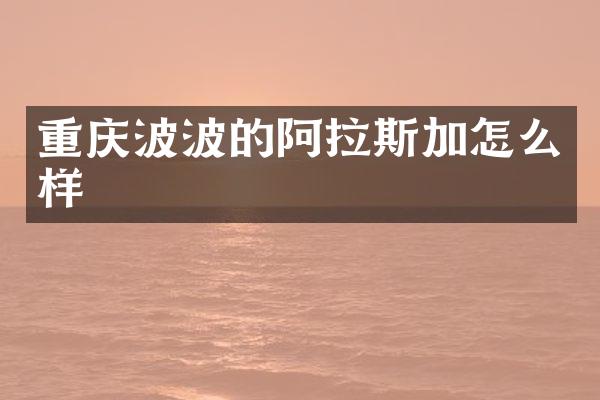 重庆波波的阿拉斯加怎么样