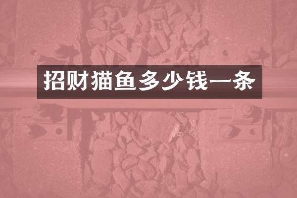 招财猫鱼多少钱一条