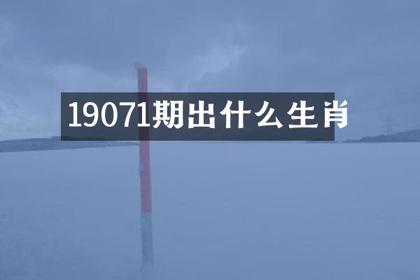 19071期出什么生肖